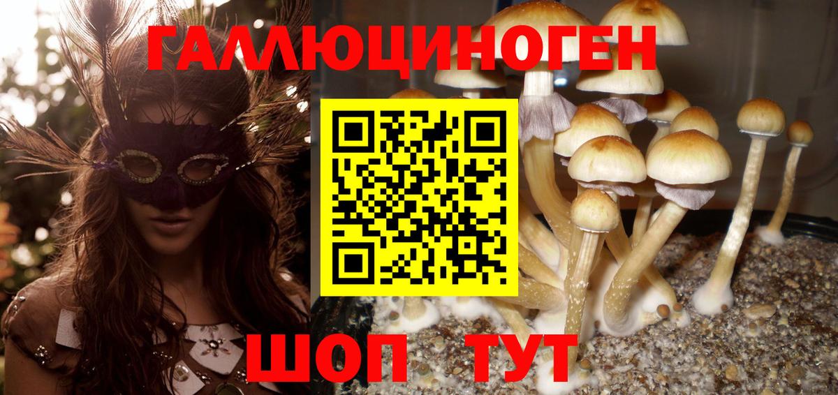 Псилоцибиновые грибы MAGIC MUSHROOMS Ейск