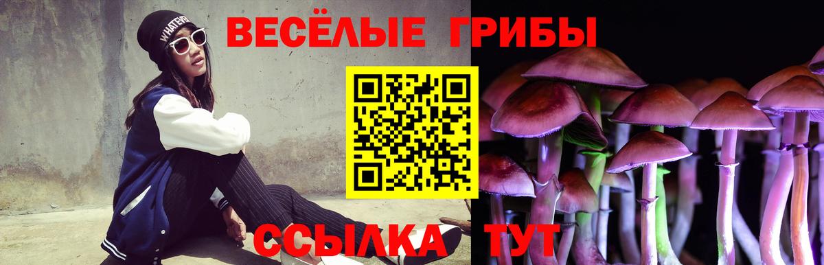 Псилоцибиновые грибы мицелий  Псилоцибиновые грибы GOLDEN TEACHER  Ейск  хочу   Вход с VPN 